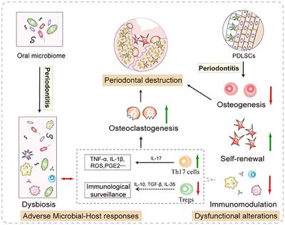 Stem Cell Therapy in Chronic Periodontitis: Host Limitations and Strategies